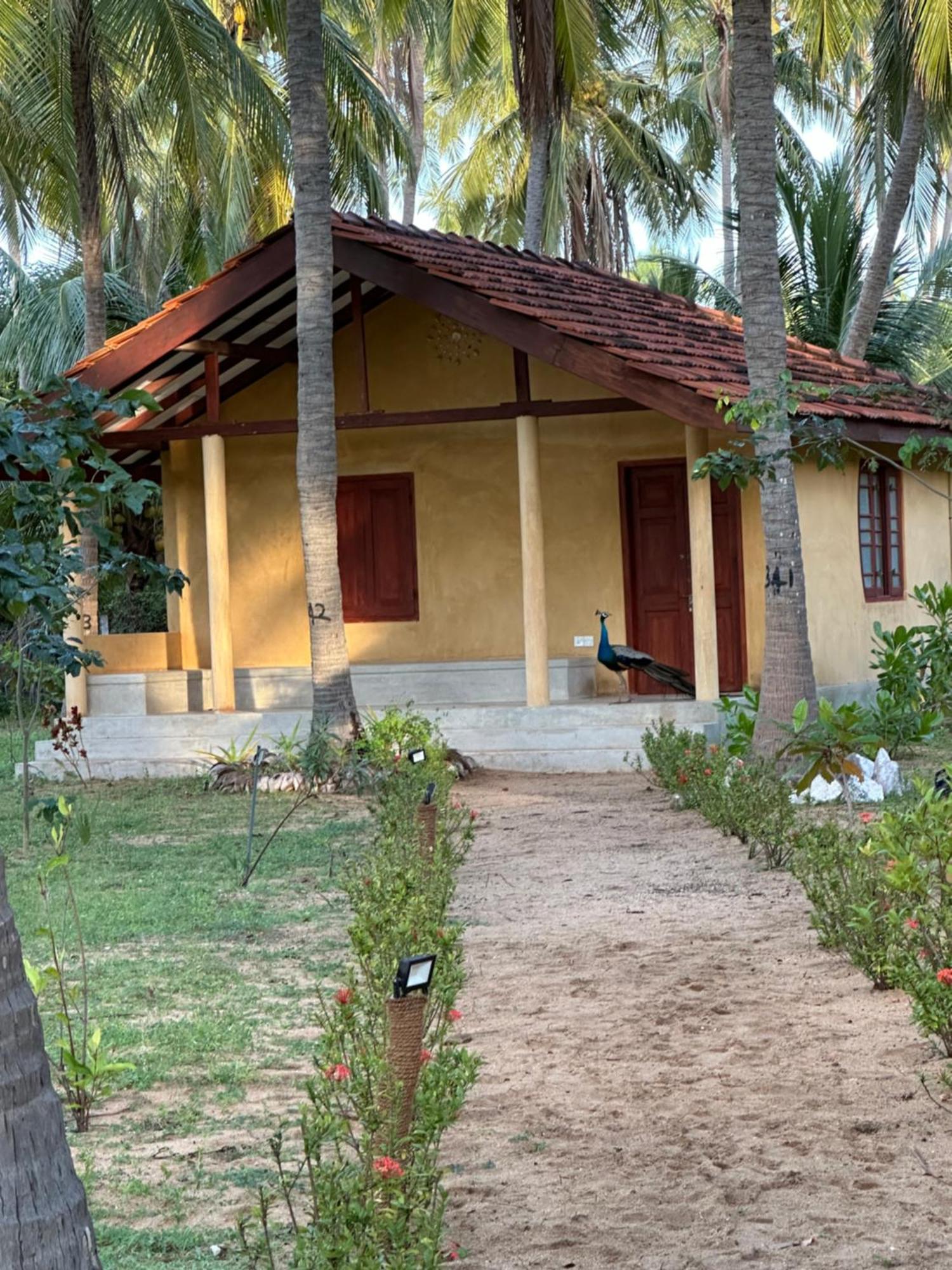 Kitelantis Hotel And Resort Kalpitiya Esterno foto