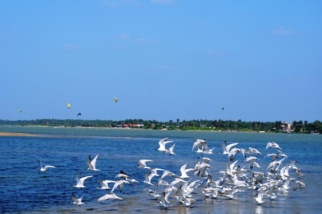 Kitelantis Hotel And Resort Kalpitiya Esterno foto